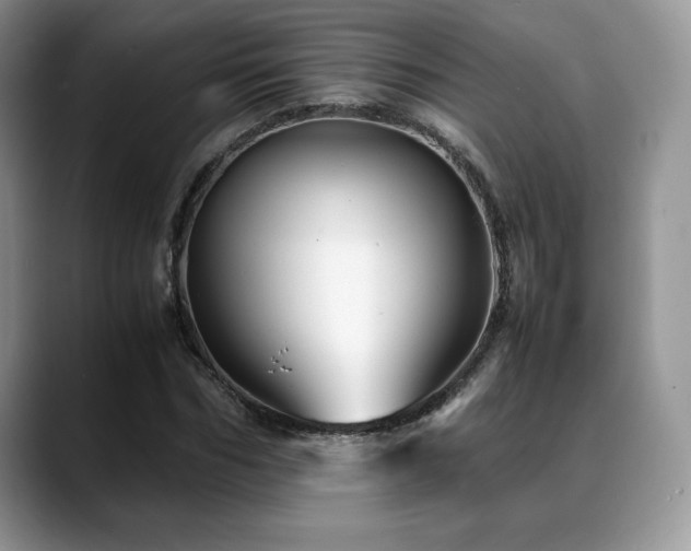 X0000088910970200706081338