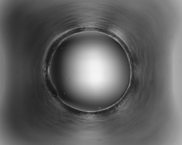 X0000088910971200706081338