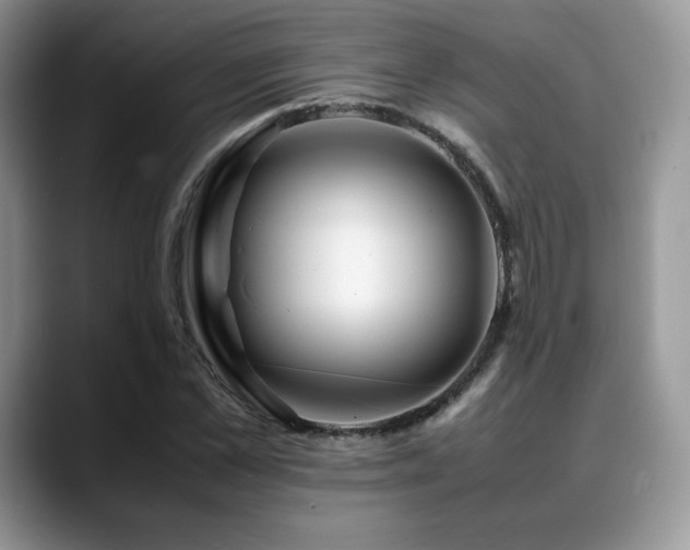 X0000088910973200706081338