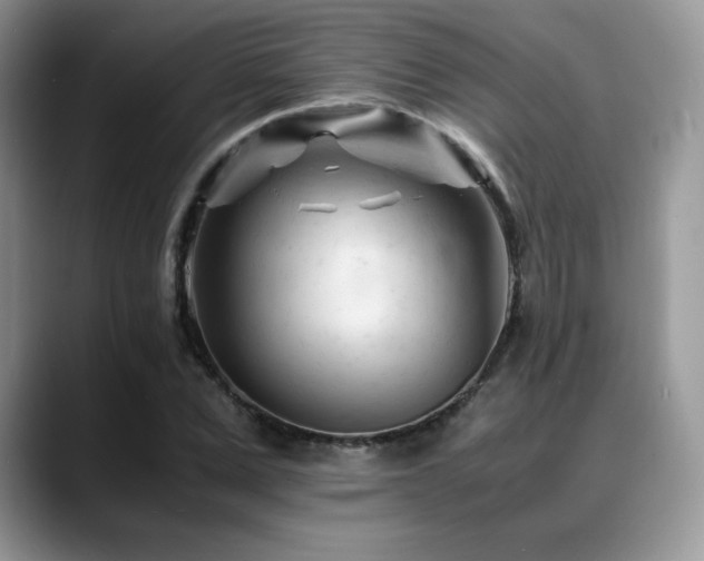 X0000088910975200706081338