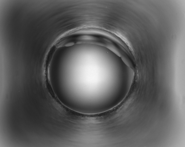 X0000088910976200706081338