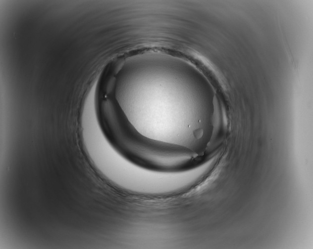 X0000088910977200706081338