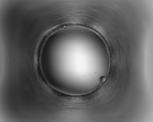 X0000088910979200706081338