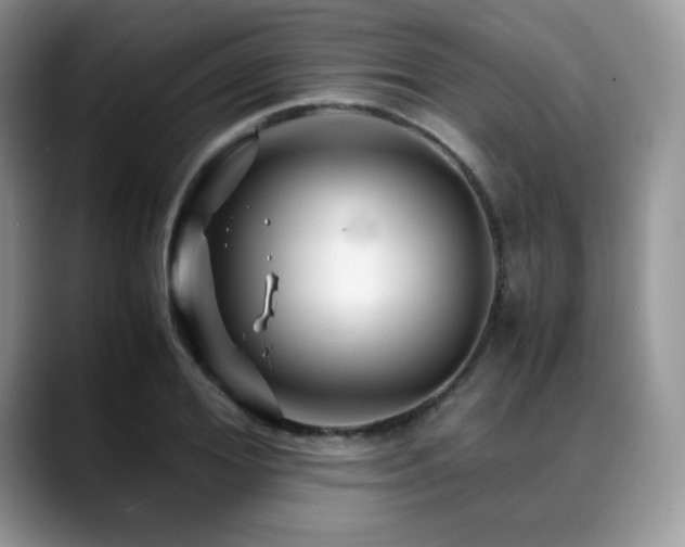X0000088910980200706081338