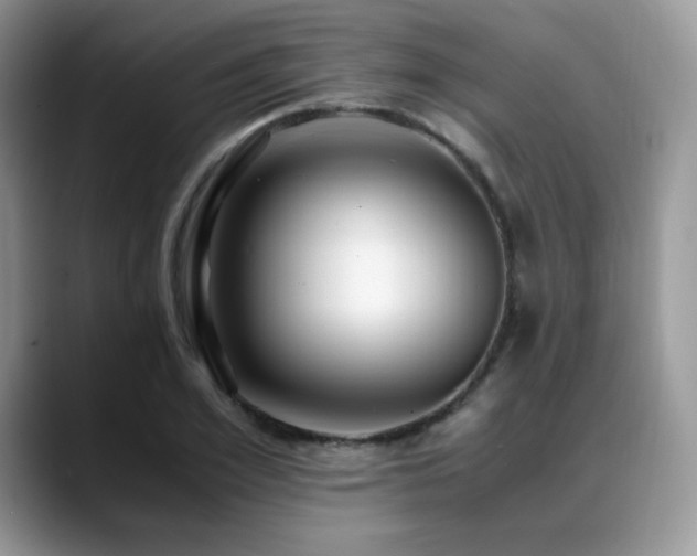 X0000088910981200706081338