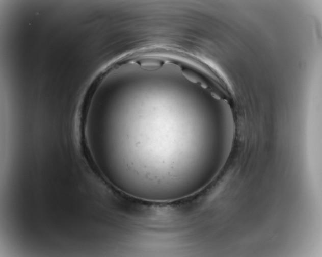 X0000088910983200706081338