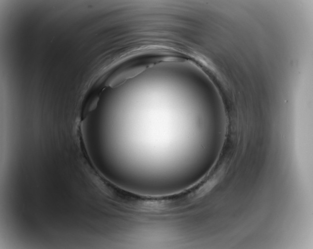 X0000088910985200706081338