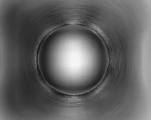 X0000088910986200706081338