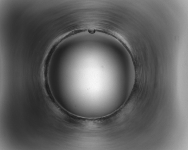 X0000088910987200706081338
