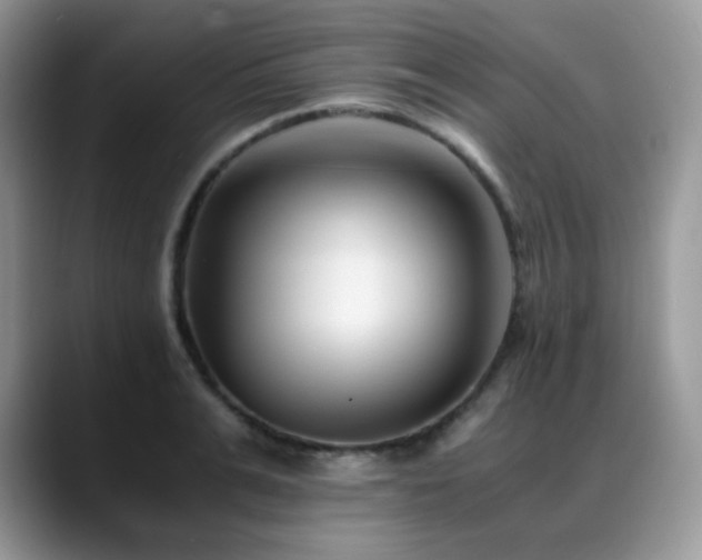 X0000088910991200706081338