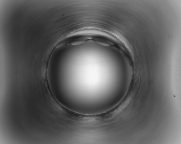 X0000088910993200706081338