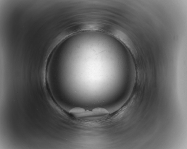 X0000088910994200706081338
