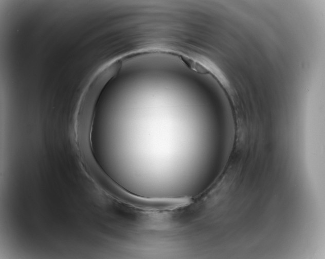 X0000088910996200706081338