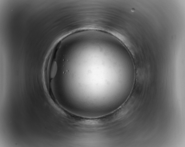 X0000088910998200706081338