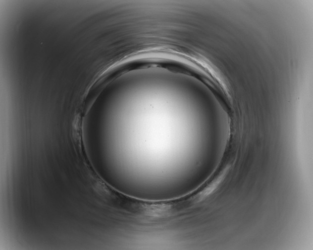 X0000088911001200706081338