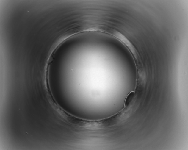 X0000088911002200706081338