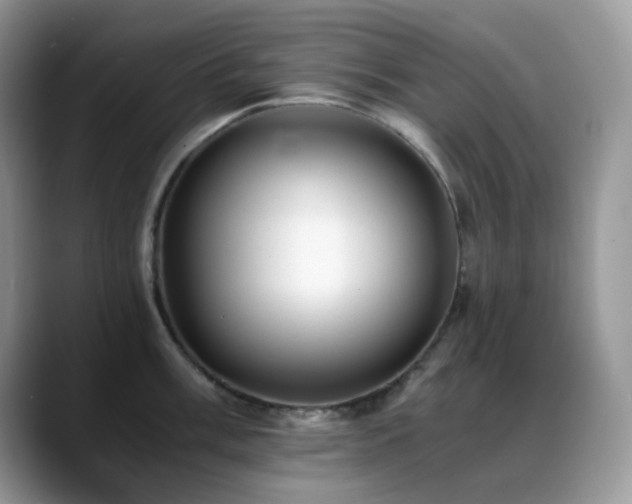 X0000088911003200706081338