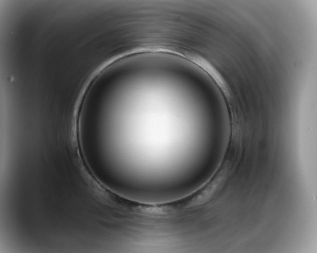 X0000088911004200706081338
