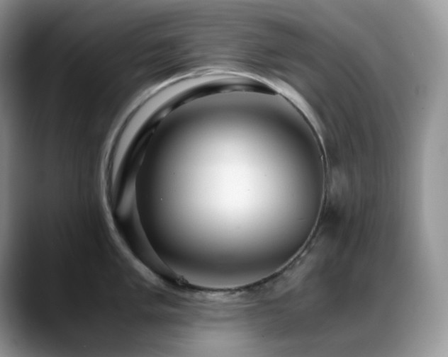 X0000088911005200706081338