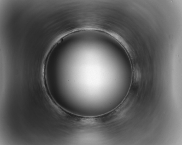 X0000088911006200706081338