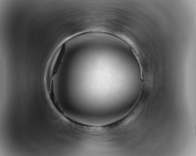 X0000088911007200706081338