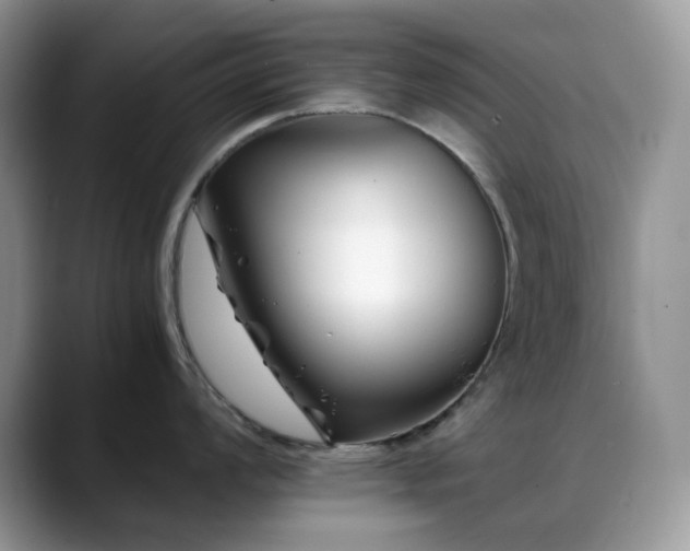 X0000088911008200706081338