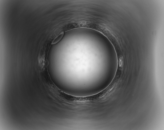 X0000088911011200706081337