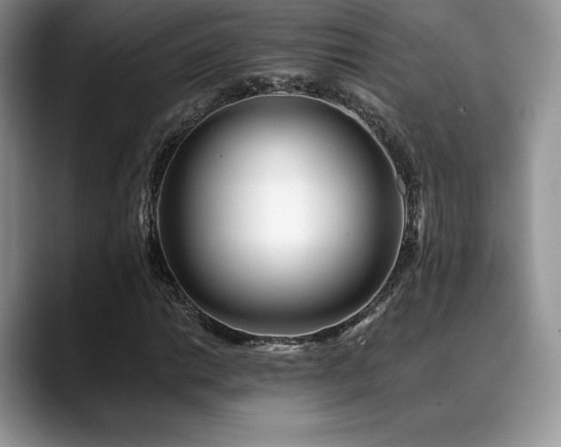 X0000088911014200706081337