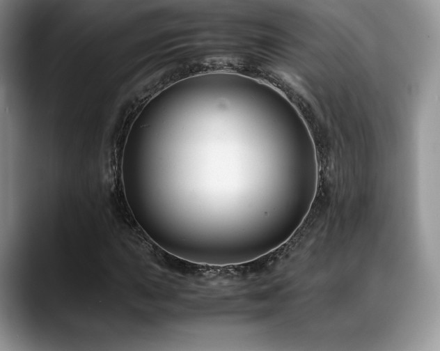 X0000088911015200706081337