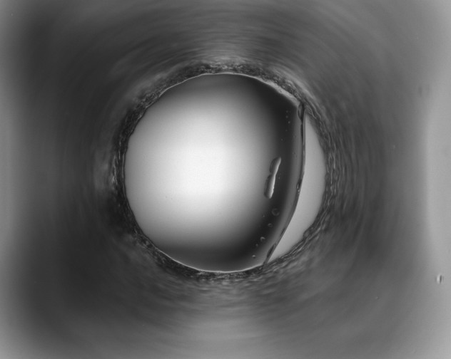 X0000088911016200706081337