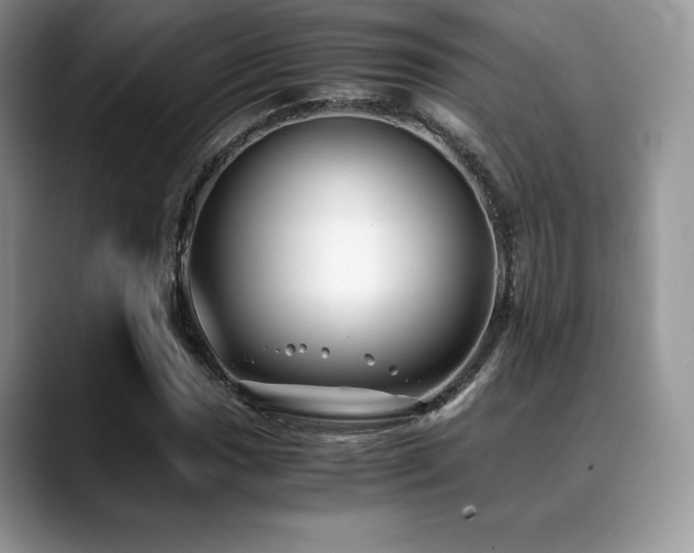 X0000088911017200706081337