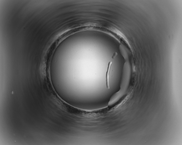 X0000088911019200706081337