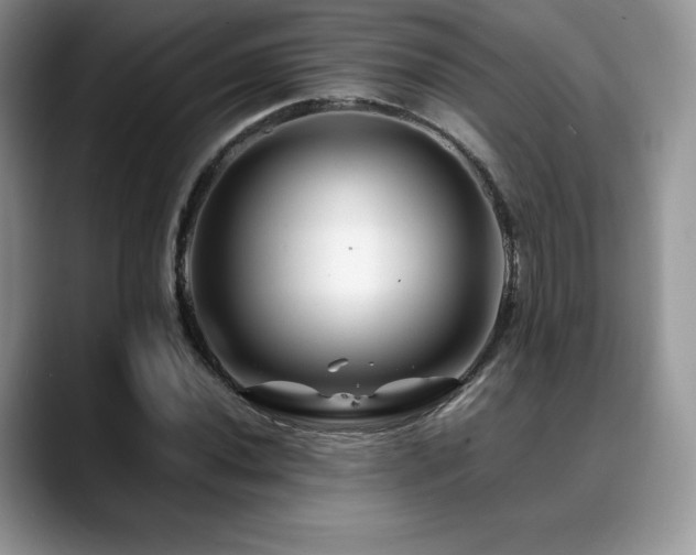 X0000088911020200706081337
