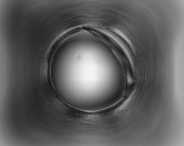 X0000088911021200706081337