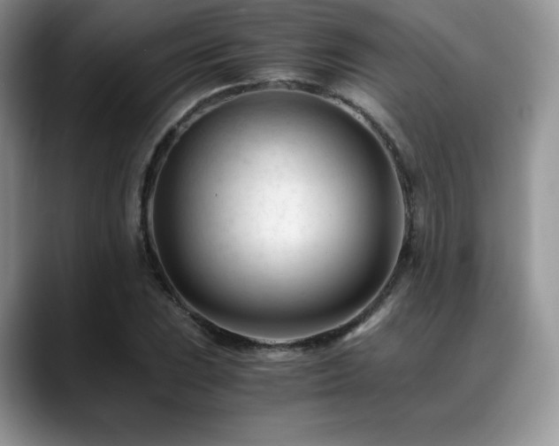 X0000088911023200706081337