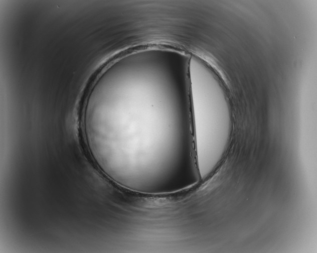 X0000088911024200706081337