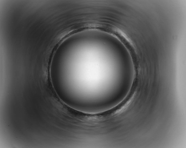 X0000088911025200706081337
