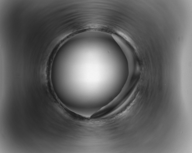 X0000088911026200706081337