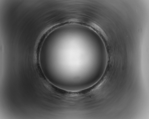 X0000088911027200706081338
