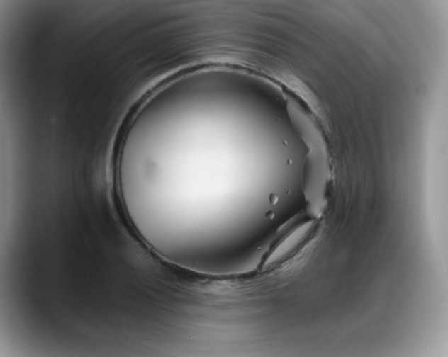 X0000088911028200706081338