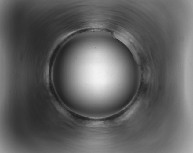 X0000088911030200706081338