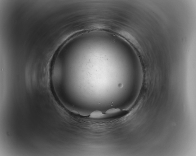 X0000088911031200706081338