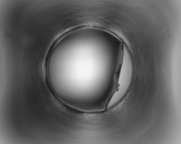 X0000088911032200706081338