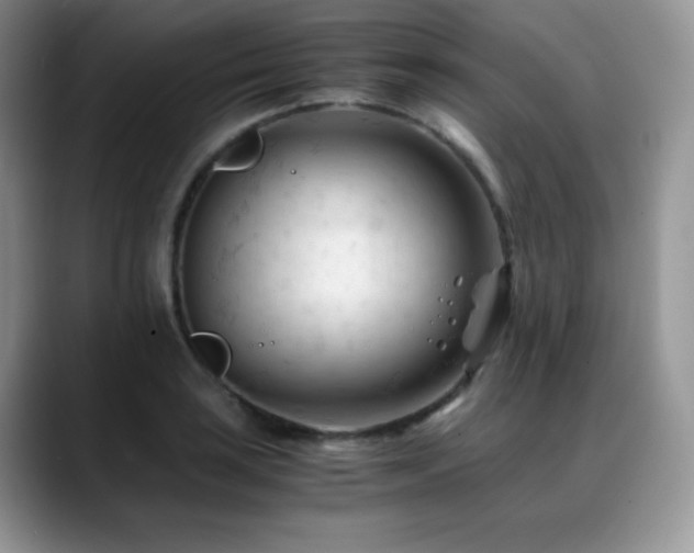 X0000088911035200706081338