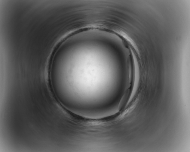 X0000088911037200706081338