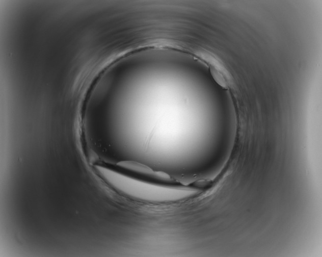 X0000088911040200706081338