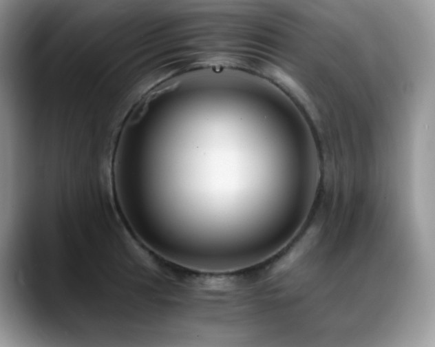 X0000088911041200706081338