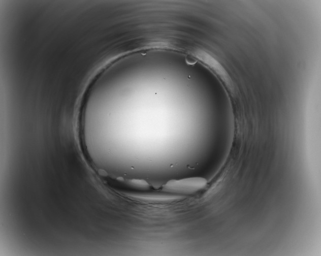 X0000088911043200706081338