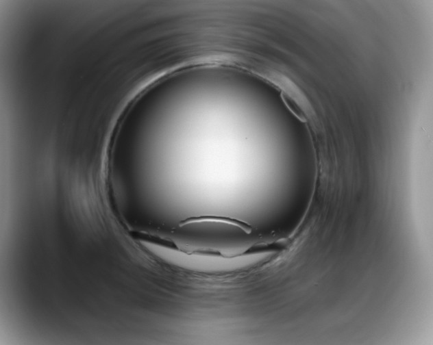 X0000088911044200706081338