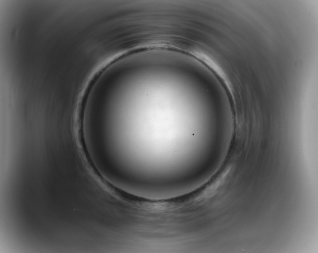 X0000088911045200706081338